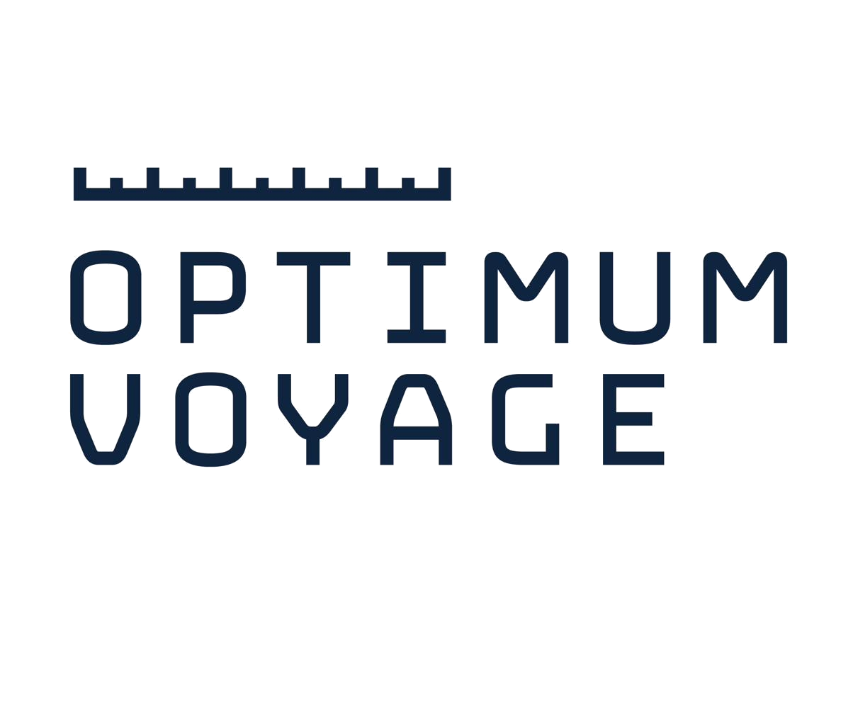 Optimum Voyage
